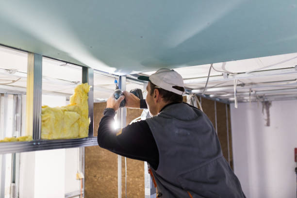 Best Insulation Installation Services in Fort Payne, AL