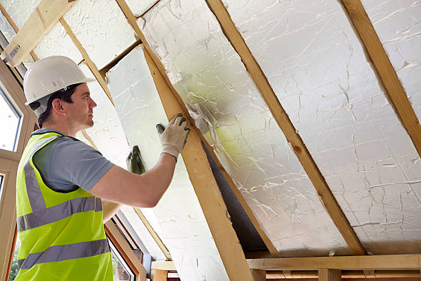 Best Insulation Maintenance and Repair in Fort Payne, AL